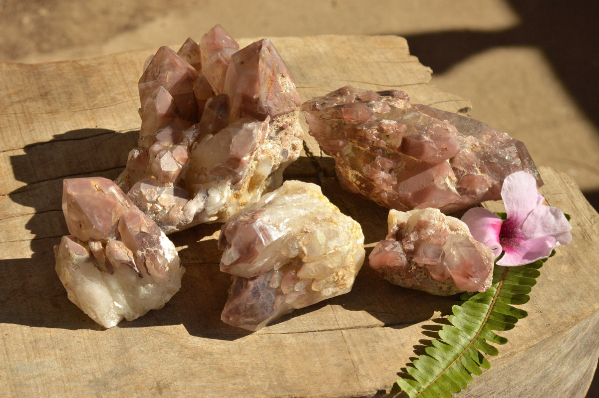 Natural Red Hematoid Phantom Quartz Crystals x 5 From Karoi, Zimbabwe - TopRock