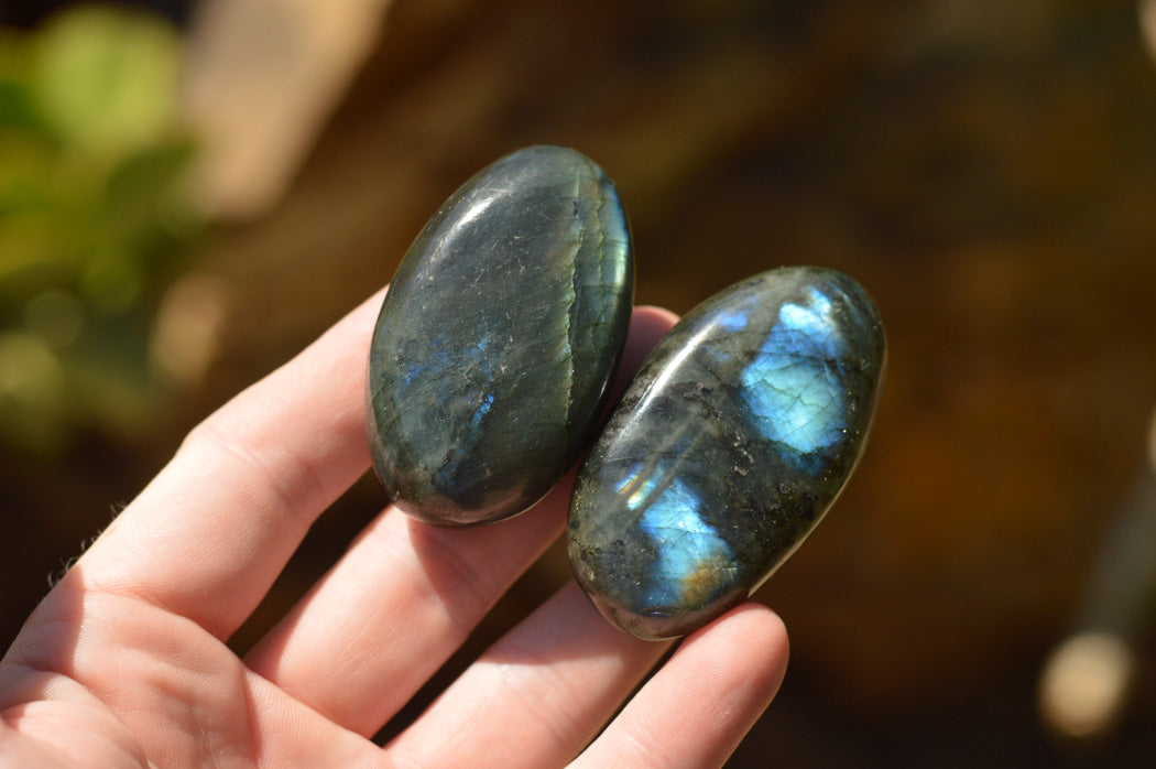 Polished Labradorite Palm Stones With Intense Blue & Gold Flash x 12 From Tulear, Madagascar - TopRock