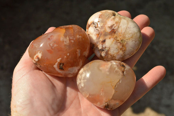 Polished Lovely Coral Flower Agate Hearts  x 6 From Madagascar - TopRock