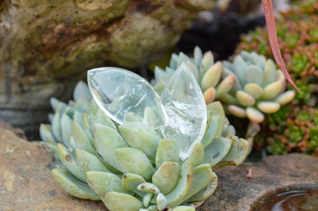 Polished Semi Optic Angel Tear Quartz Crystals x 35 From Madagascar - TopRock