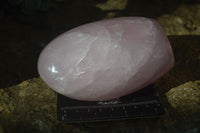 Polished Rose Quartz Standing Free Forms x 2 From Antsirabe, Madagascar - Toprock Gemstones and Minerals