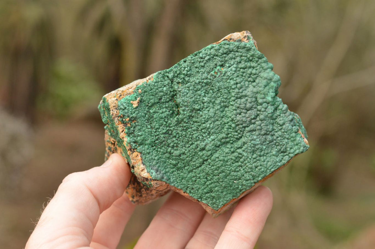 Natural Micro Botryoidal Malachite on Matrix Specimens x 6 From Tenke Fungurume, Congo - TopRock