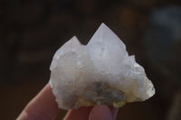 Natural White Cactus Flower Spirit Quartz Specimens x 12 From Boekenhouthoek, South Africa - Toprock Gemstones and Minerals