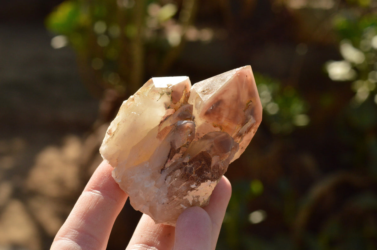 Natural Red Hematoid Phantom Quartz Crystals x 5 From Karoi, Zimbabwe - TopRock