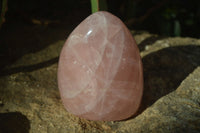 Polished Rose Quartz Standing Free Forms x 2 From Antsirabe, Madagascar - Toprock Gemstones and Minerals