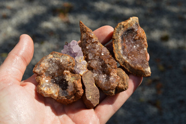 Natural Small Amethyst & Basalt Geode Specimens  x 35 From Zululand, South Africa - TopRock