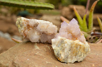 Natural Drusi Coated Spirit Cactus Quartz Clusters  x 4 From Boekenhouthoek, South Africa - TopRock