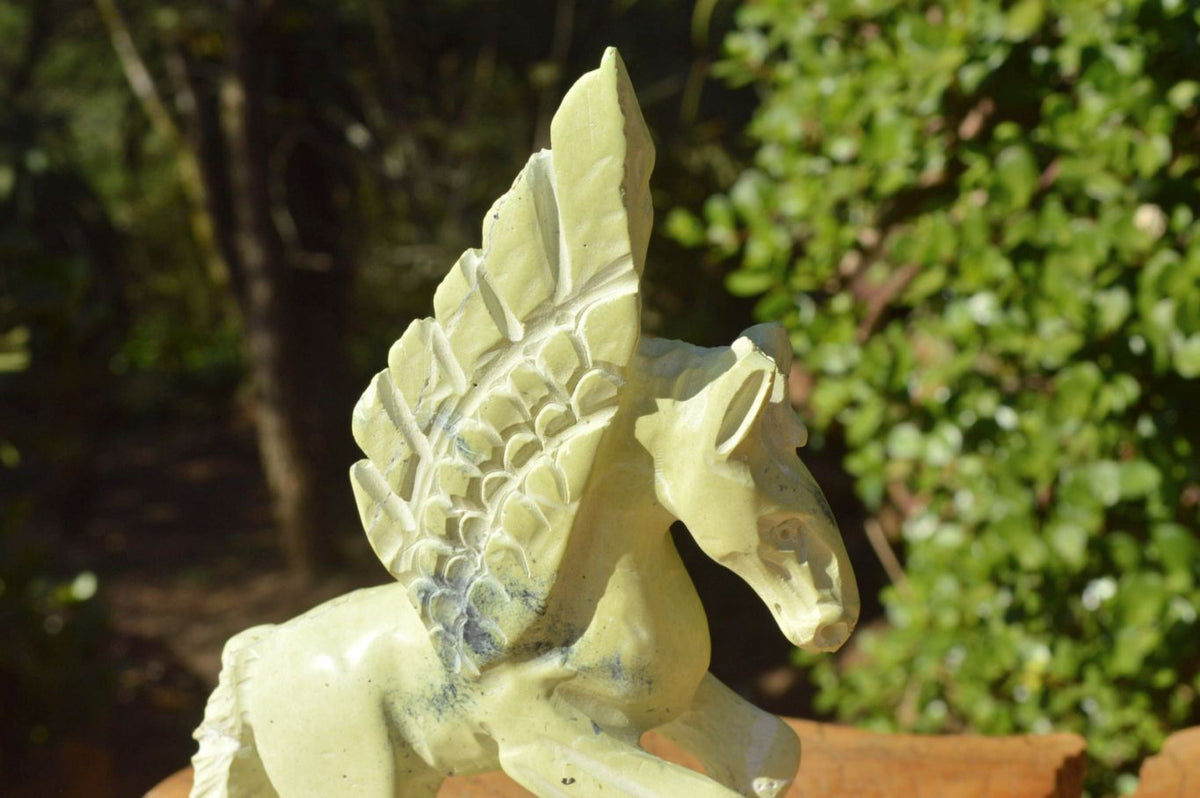 Polished Hand Carved Leopardstone Pegasus x 1 From Inyanga, Zimbabwe - TopRock