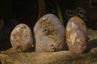 Polished  Ocean Flower Agate Standing Free Forms  x 3 From Madagascar - Toprock Gemstones and Minerals