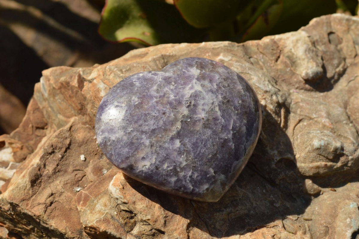 Polished Purple Lepidolite Mica Hearts x 6 From Madagascar - TopRock