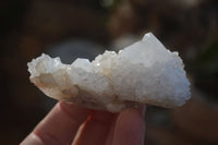 Natural White Cactus Flower Spirit Quartz Specimens x 12 From Boekenhouthoek, South Africa - Toprock Gemstones and Minerals