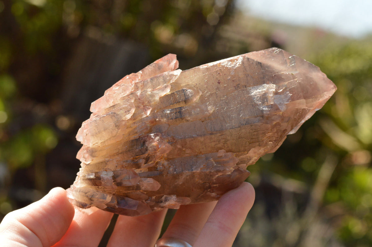 Natural Red Hematoid Phantom Quartz Crystals x 5 From Karoi, Zimbabwe - TopRock