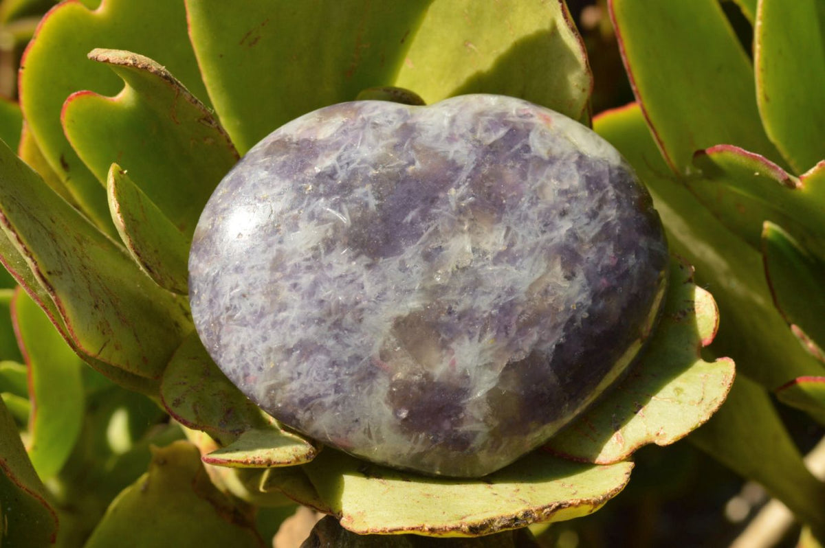 Polished Purple Lepidolite Mica Hearts x 6 From Madagascar - TopRock