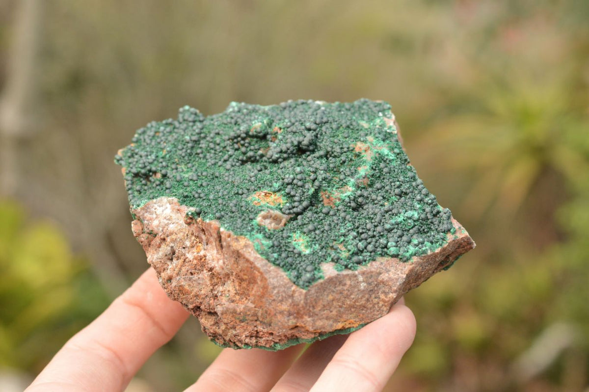 Natural Micro Botryoidal Malachite on Matrix Specimens x 6 From Tenke Fungurume, Congo - TopRock