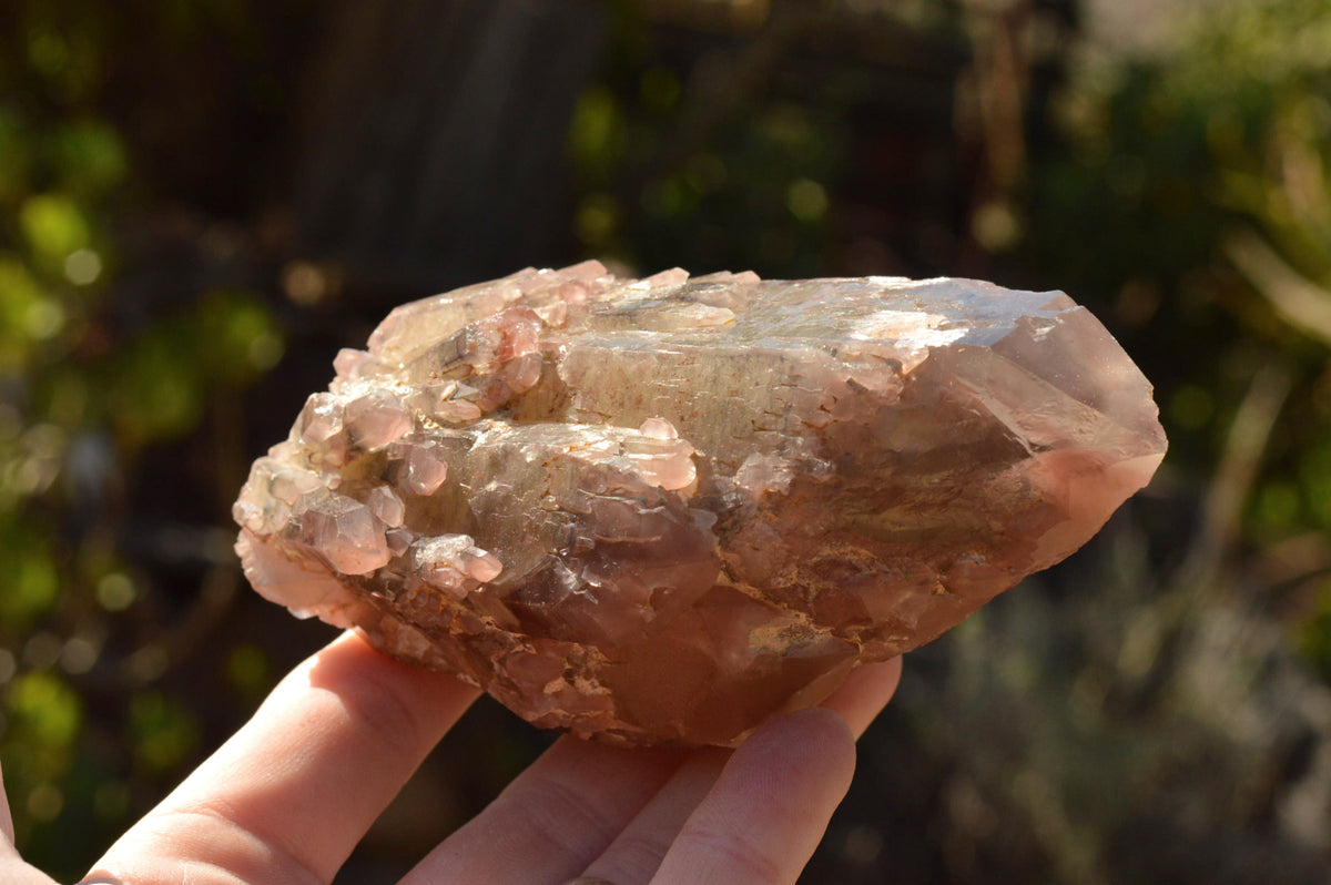 Natural Red Hematoid Phantom Quartz Crystals x 5 From Karoi, Zimbabwe - TopRock