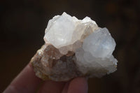 Natural White Cactus Flower Spirit Quartz Specimens x 12 From Boekenhouthoek, South Africa - Toprock Gemstones and Minerals
