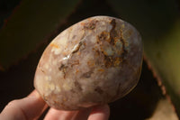 Polished  Ocean Flower Agate Standing Free Forms  x 3 From Madagascar - Toprock Gemstones and Minerals