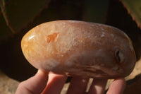 Polished  Ocean Flower Agate Standing Free Forms  x 3 From Madagascar - Toprock Gemstones and Minerals