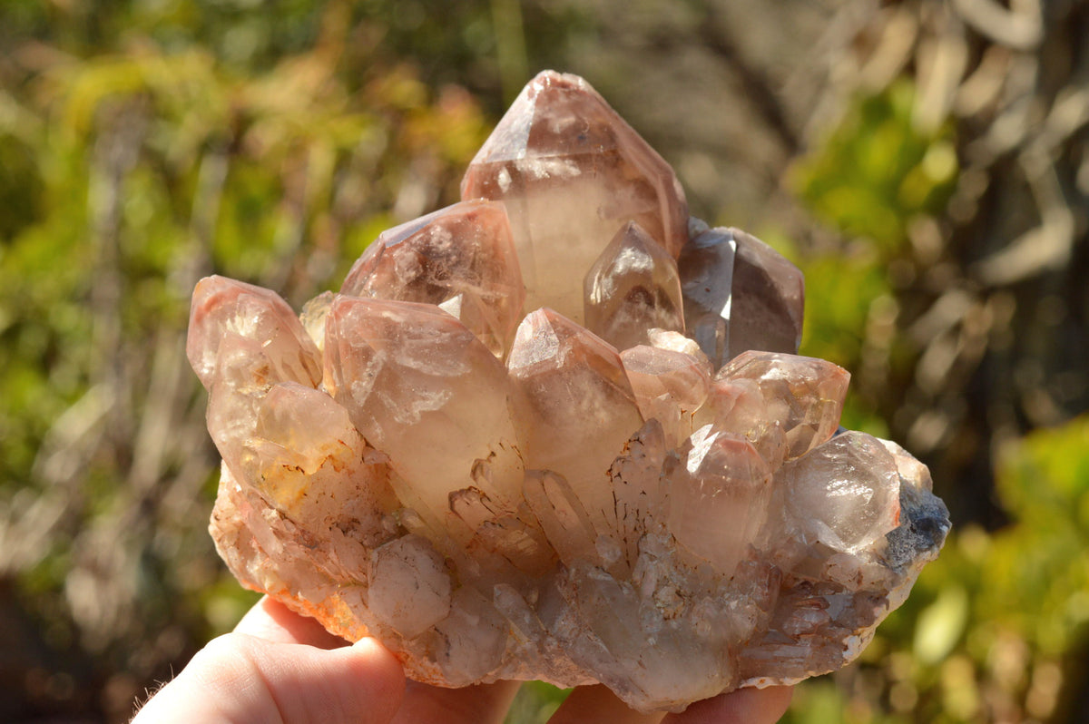 Natural Red Hematoid Phantom Quartz Crystals x 5 From Karoi, Zimbabwe - TopRock