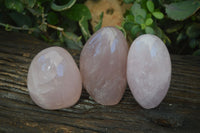 Polished Gemmy Pink Rose Quartz Standing Free Forms x 3 From Antsirabe, Madagascar - Toprock Gemstones and Minerals