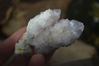 Natural Pale Lilac Spirit Quartz Clusters x 12 From Boekenhouthoek, South Africa - Toprock Gemstones and Minerals