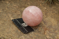 Polished Pink Rose Quartz Spheres  x 3 From Madagascar - TopRock