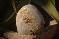 Polished  Ocean Flower Agate Standing Free Forms  x 3 From Madagascar - Toprock Gemstones and Minerals