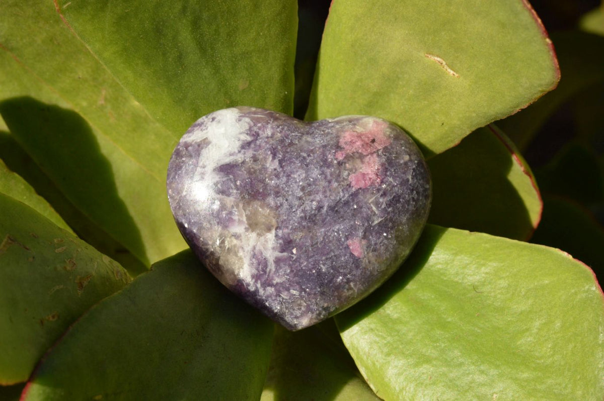 Polished Purple Lepidolite Mica Hearts x 6 From Madagascar - TopRock