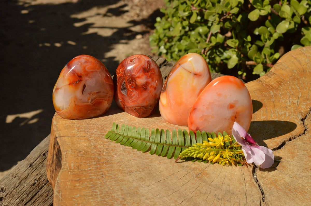 Polished Lovely Selection Of Carnelian Agate Standing Free Forms x 4 From Madagascar - TopRock