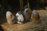 Polished Mixed Agate Standing Free Forms  x 4 From West Coast, Madagascar - Toprock Gemstones and Minerals