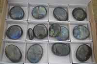 Polished Flashy Labradorite Palm Stones  x 14 From Tulear, Madagascar - Toprock Gemstones and Minerals