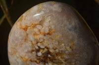 Polished  Ocean Flower Agate Standing Free Forms  x 3 From Madagascar - Toprock Gemstones and Minerals