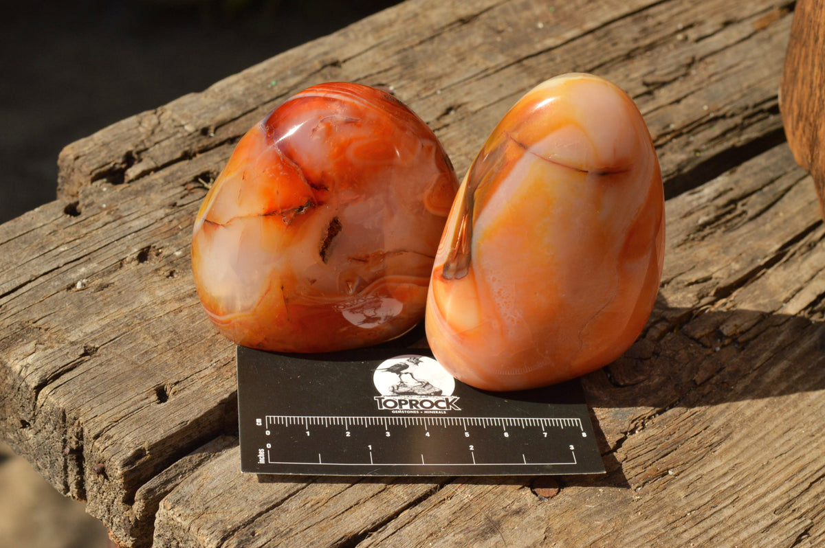 Polished Lovely Selection Of Carnelian Agate Standing Free Forms x 4 From Madagascar - TopRock