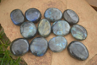 Polished Flashy Labradorite Palm Stones  x 14 From Tulear, Madagascar - Toprock Gemstones and Minerals