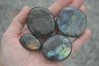 Polished Flashy Labradorite Palm Stones  x 14 From Tulear, Madagascar - Toprock Gemstones and Minerals