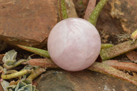 Polished Pink Rose Quartz Spheres  x 3 From Madagascar - TopRock