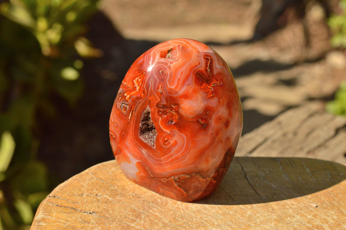 Polished Lovely Selection Of Carnelian Agate Standing Free Forms x 4 From Madagascar - TopRock