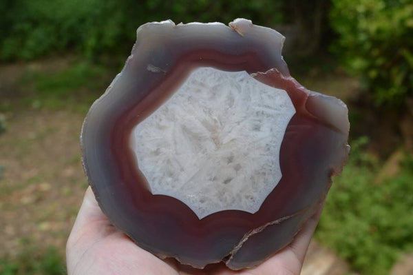 Polished Partially Red Sashe River Agate Nodules x 4 From Limpopo River, Zimbabwe - TopRock