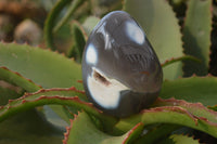 Polished Mixed Agate Standing Free Forms  x 4 From West Coast, Madagascar - Toprock Gemstones and Minerals