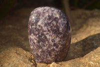 Polished  Lovely Purple Lepidolite Standing Free Forms  x 4 From Zimbabwe - Toprock Gemstones and Minerals