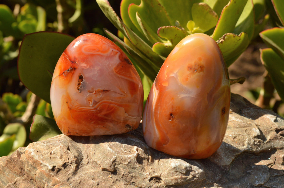 Polished Lovely Selection Of Carnelian Agate Standing Free Forms x 4 From Madagascar - TopRock