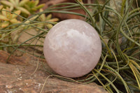 Polished Pink Rose Quartz Spheres  x 3 From Madagascar - TopRock