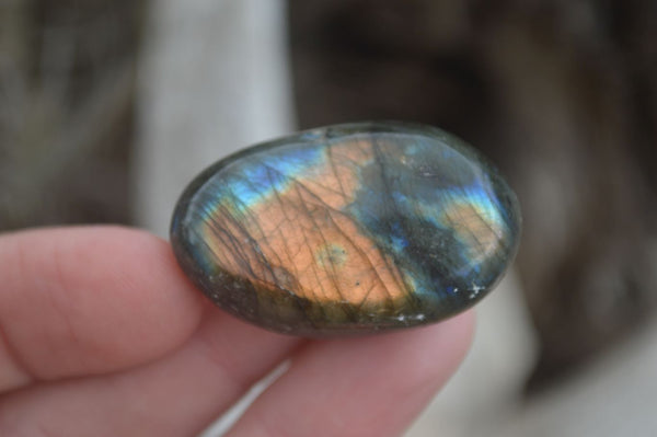 Polished Flashy Labradorite Palm Stones  x 14 From Tulear, Madagascar - Toprock Gemstones and Minerals 