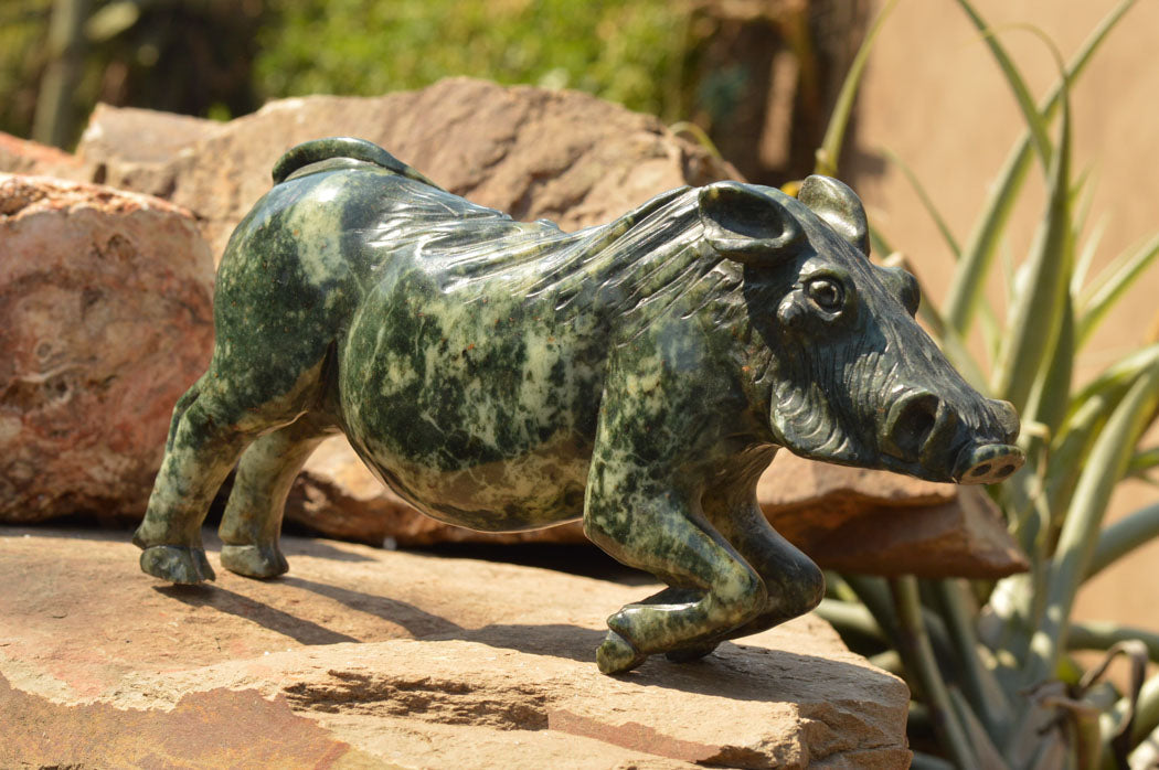 Polished Extra Large Serpentine Warthog Carving x 1 From Zimbabwe - TopRock