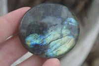 Polished Flashy Labradorite Palm Stones  x 14 From Tulear, Madagascar - Toprock Gemstones and Minerals