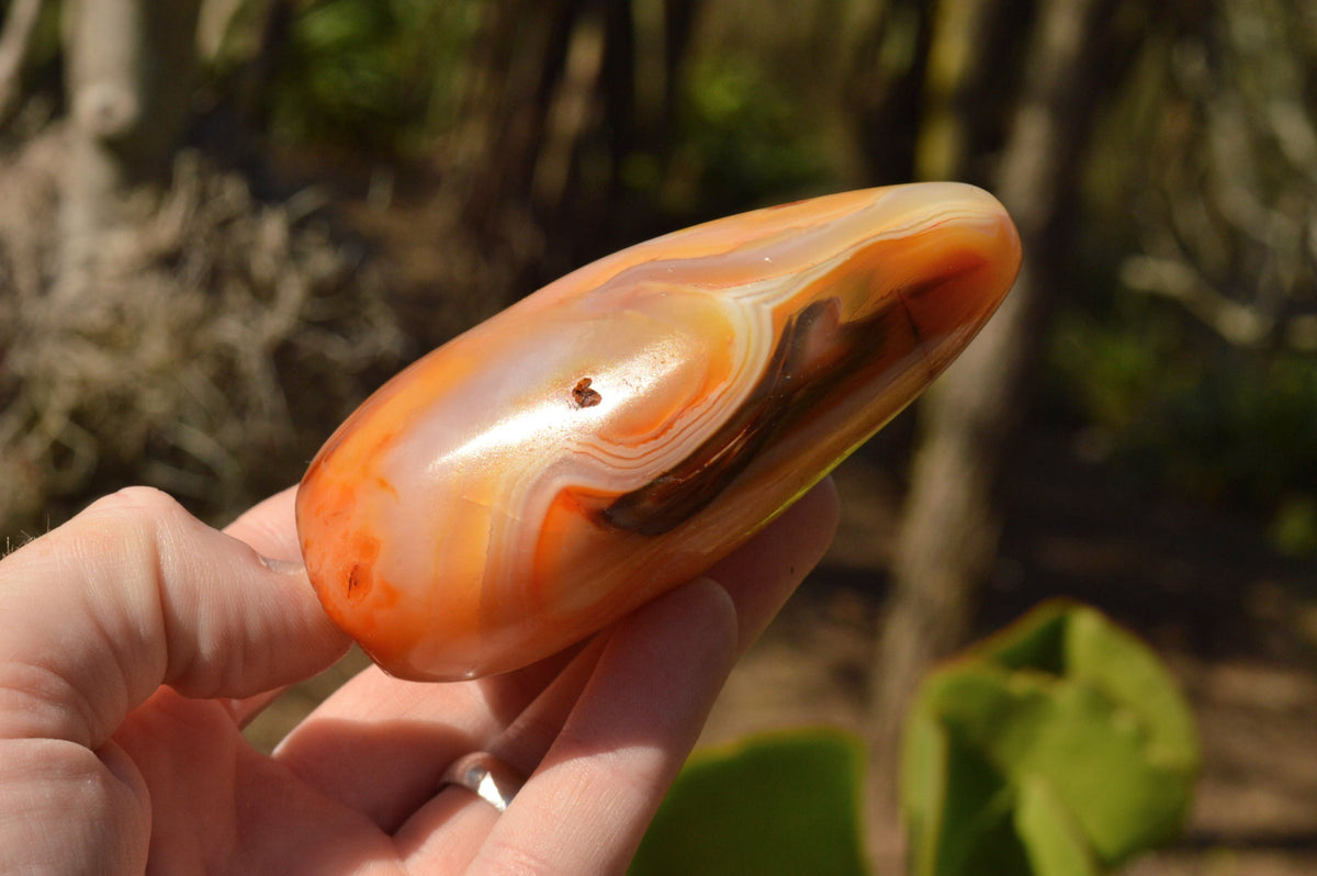 Polished Lovely Selection Of Carnelian Agate Standing Free Forms x 4 From Madagascar - TopRock