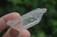 Natural Single Clear Quartz Crystals  x 1.9 Kg Lot From Zimbabwe - Toprock Gemstones and Minerals