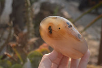 Polished Mixed Agate Standing Free Forms  x 4 From West Coast, Madagascar - Toprock Gemstones and Minerals