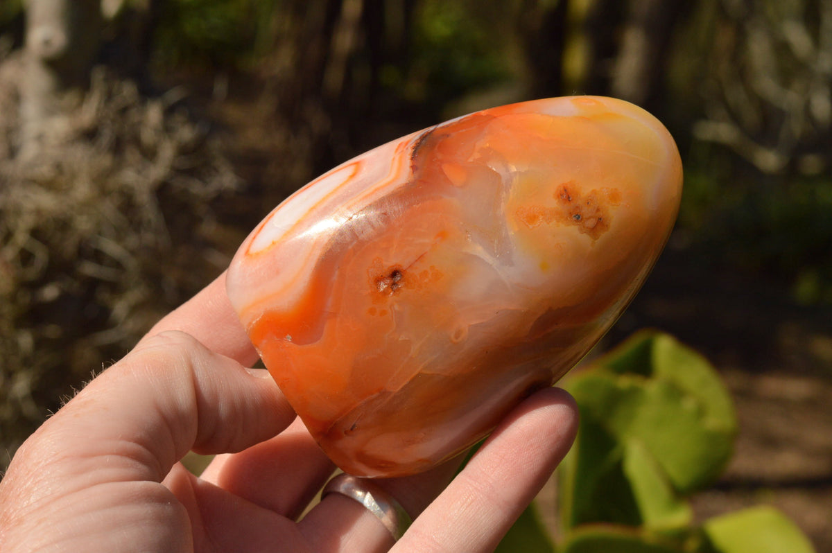 Polished Lovely Selection Of Carnelian Agate Standing Free Forms x 4 From Madagascar - TopRock