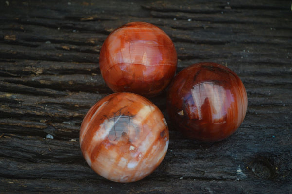 Polished Carnelian Agate Spheres  x 3 From Madagascar - Toprock Gemstones and Minerals 